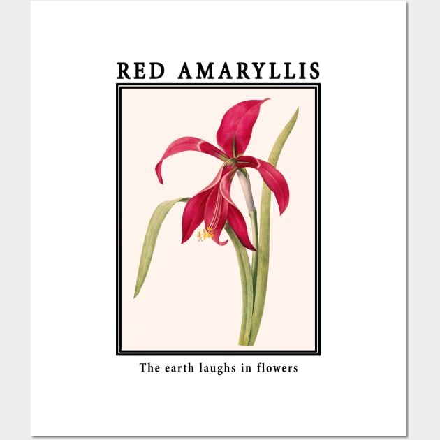 Flowers - Amaryllis Wall Art by j.adevelyn